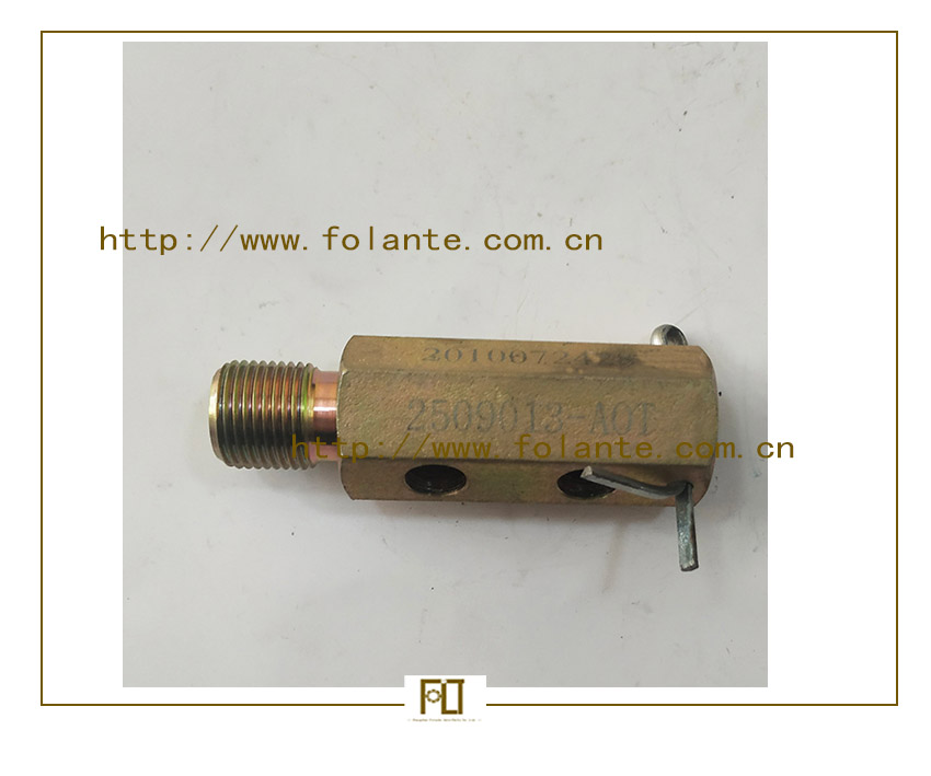 2509013 - A0T-Pressure relief valve