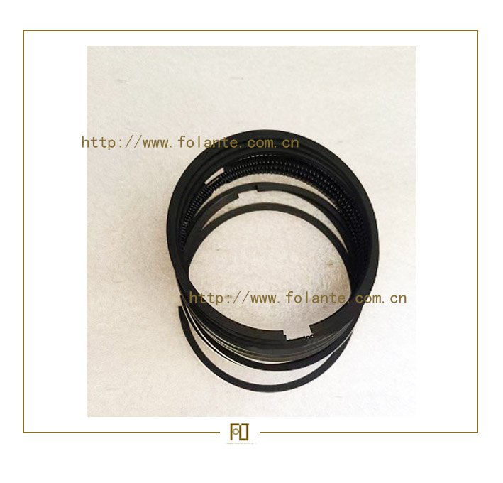 1004040A-Piston ring assembly